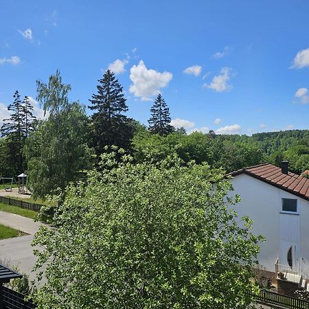 Lions Place Premium Apartments Executive Luxus Penthouse Inklusive Spa Heidenheim an der Brenz Extérieur photo