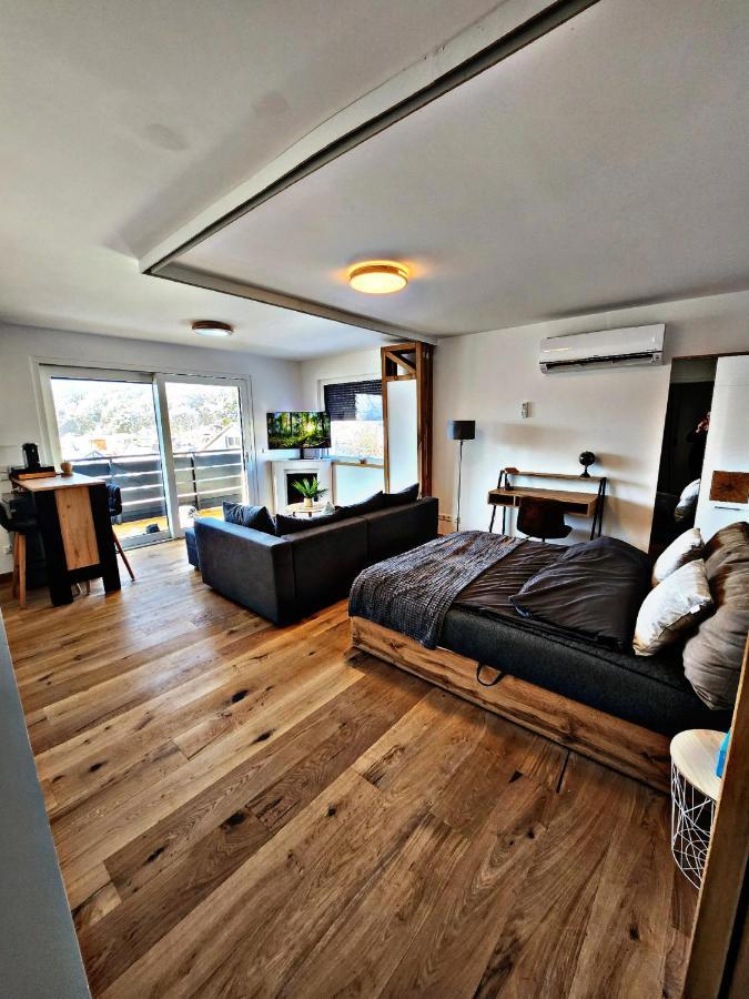 Lions Place Premium Apartments Executive Luxus Penthouse Inklusive Spa Heidenheim an der Brenz Extérieur photo