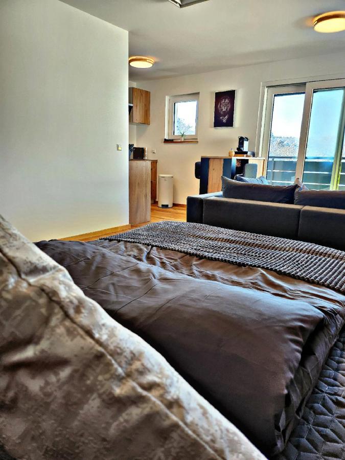 Lions Place Premium Apartments Executive Luxus Penthouse Inklusive Spa Heidenheim an der Brenz Extérieur photo
