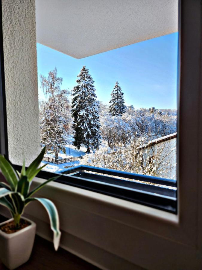 Lions Place Premium Apartments Executive Luxus Penthouse Inklusive Spa Heidenheim an der Brenz Extérieur photo