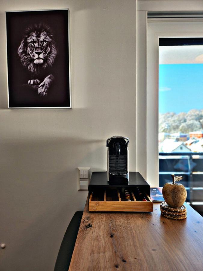Lions Place Premium Apartments Executive Luxus Penthouse Inklusive Spa Heidenheim an der Brenz Extérieur photo