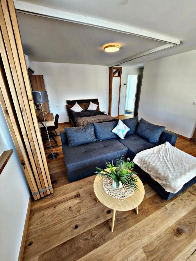 Lions Place Premium Apartments Executive Luxus Penthouse Inklusive Spa Heidenheim an der Brenz Extérieur photo