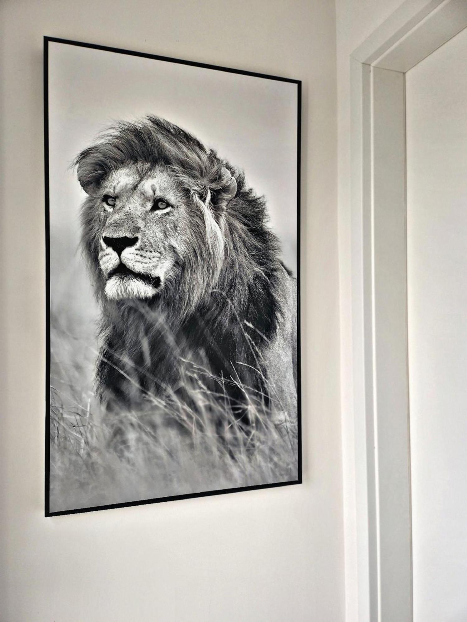 Lions Place Premium Apartments Executive Luxus Penthouse Inklusive Spa Heidenheim an der Brenz Extérieur photo